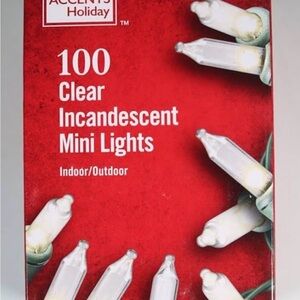 Home Accents Holiday Mini Lights